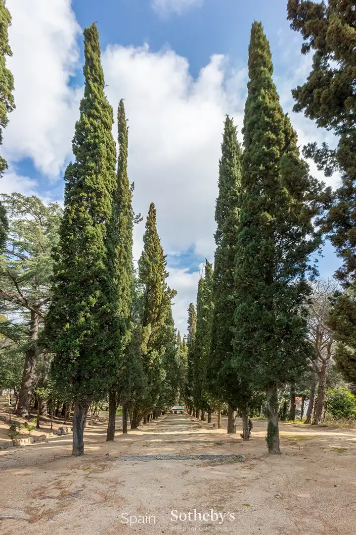 Vista exterior de Finca rústica en venda en Sant Andreu de Llavaneres amb Calefacció, Jardí privat i Terrassa