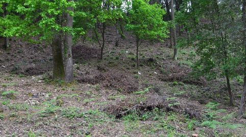 TERRENO  EN BOSCOS DEL MONTNEGRE, imatge 5