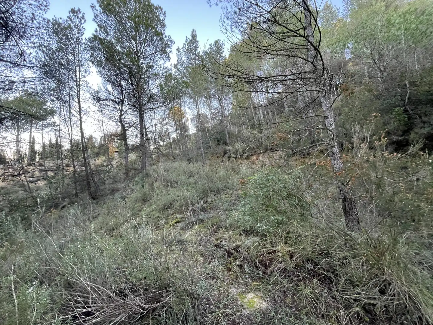 Wohnbaugrundstück zum Verkauf in de Can Prat 61, imagen 11