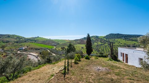 Foto 4 de Finca rústica en venta en Álora, Málaga