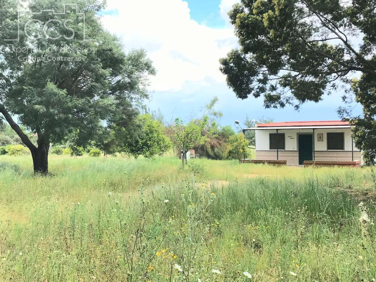 Finca rústica en venda en Almonte amb Traster i Moblat