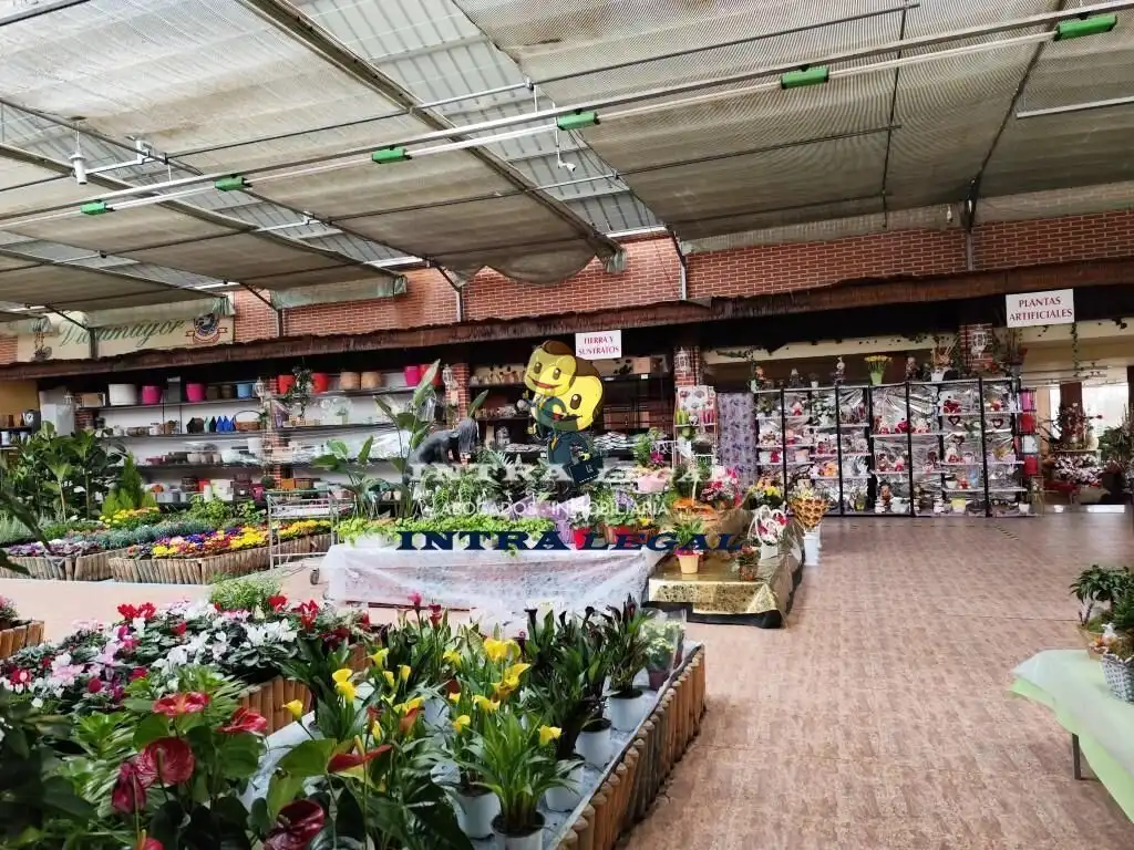 Grundstücke zum Verkauf in Villamayor