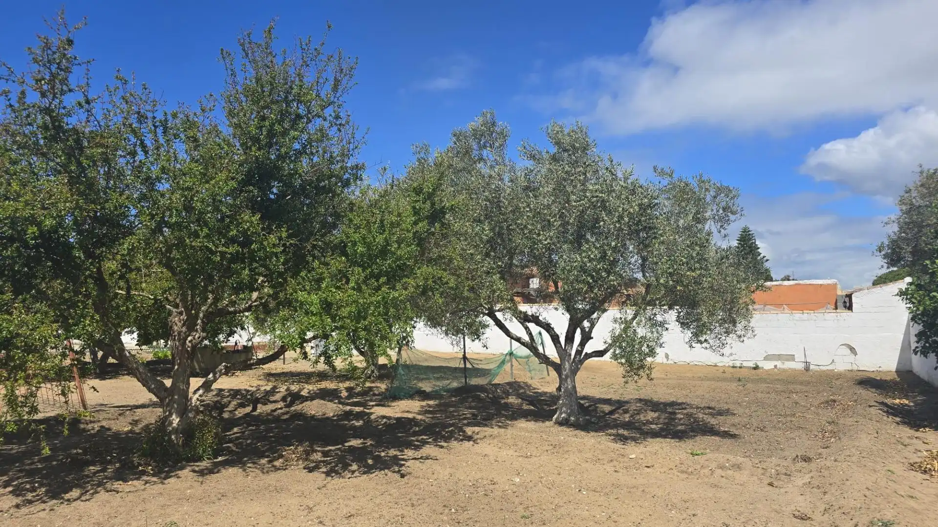 Residential for sale in Pelagatos - Pago del Humo