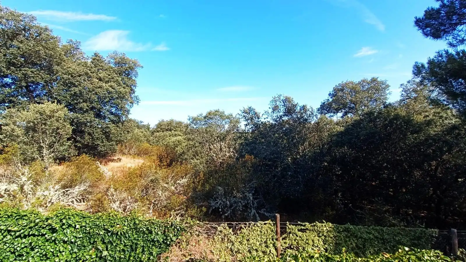 Casa o xalet en venda en Palacios del Pan amb Calefacció, Jardí privat i Terrassa