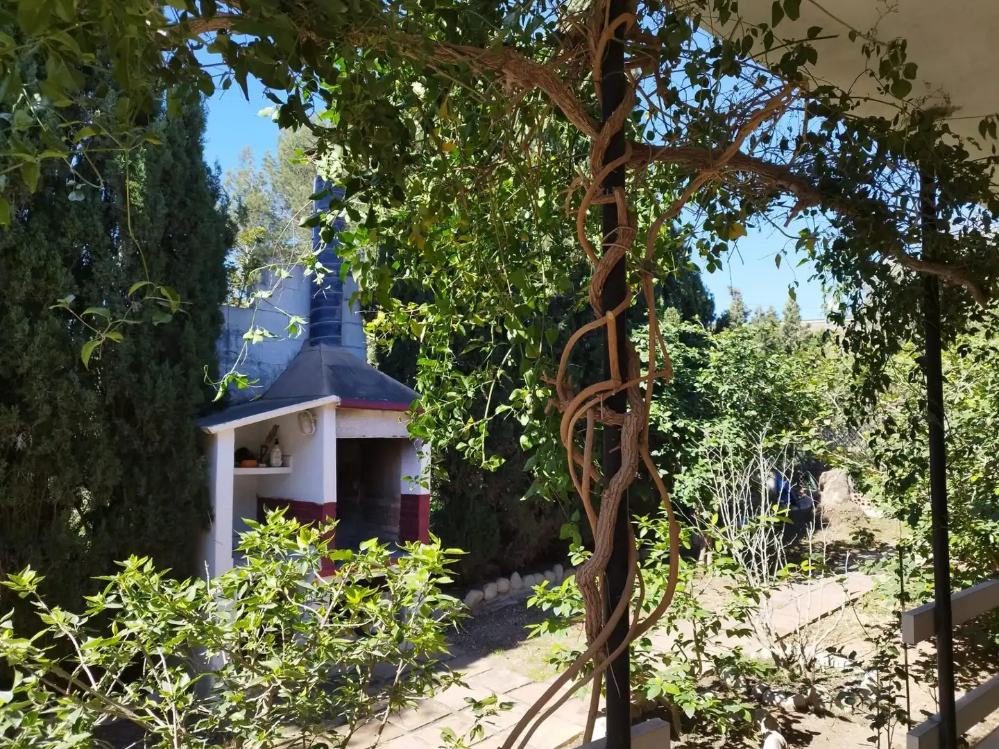 Jardín de Casa o chalet en venta en Alcanar con Jardín privado, Terraza y Trastero