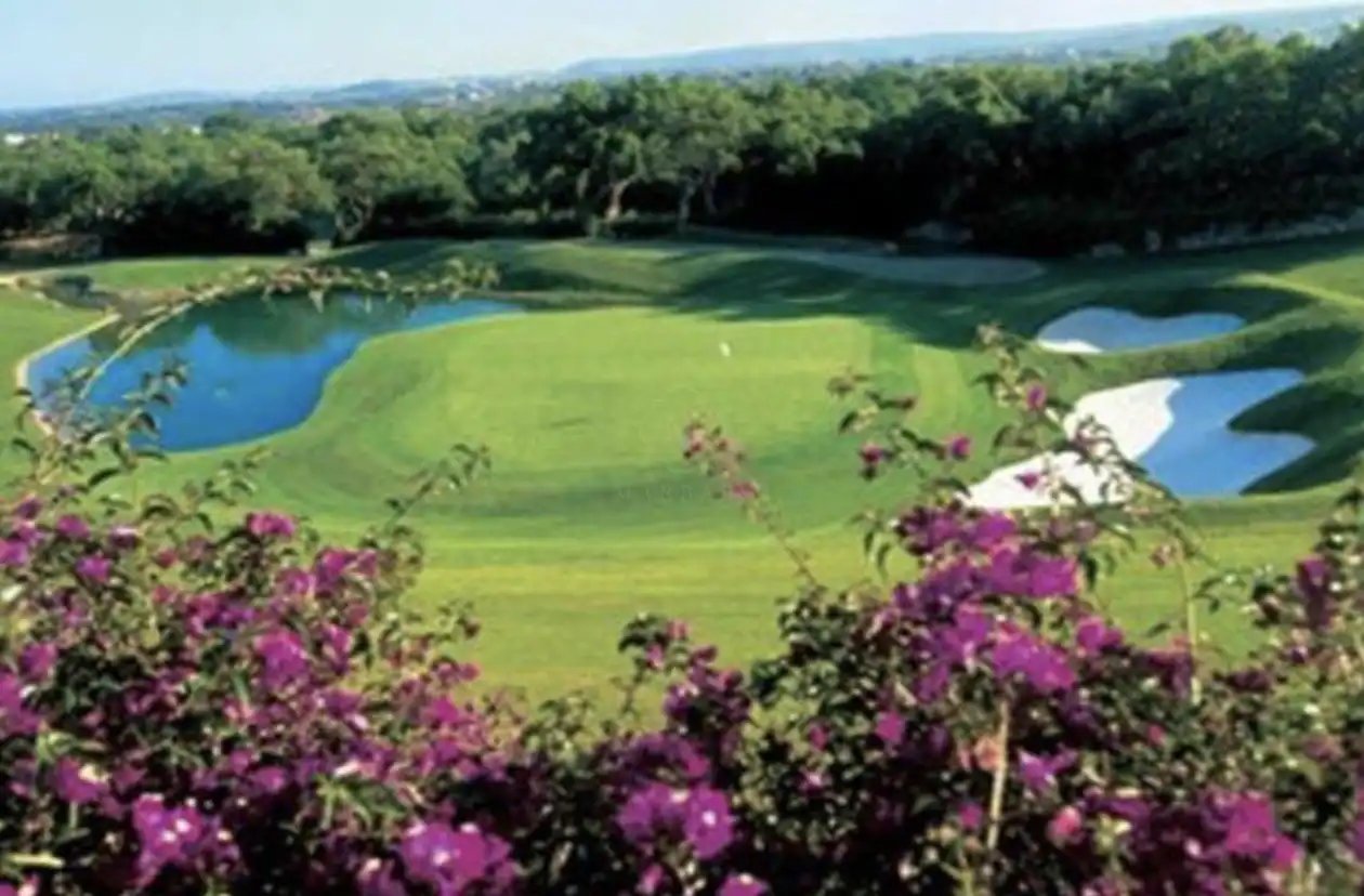 Exterior view of Apartments for sale in Los Flamingos