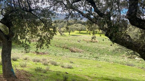 Foto 2 von Grundstücke zum Verkauf in Mohedas de la Jara, Toledo