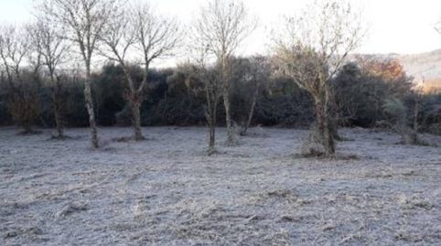 Se vende finca al lado de Celanova superficie 5.500 metros, immagine 3
