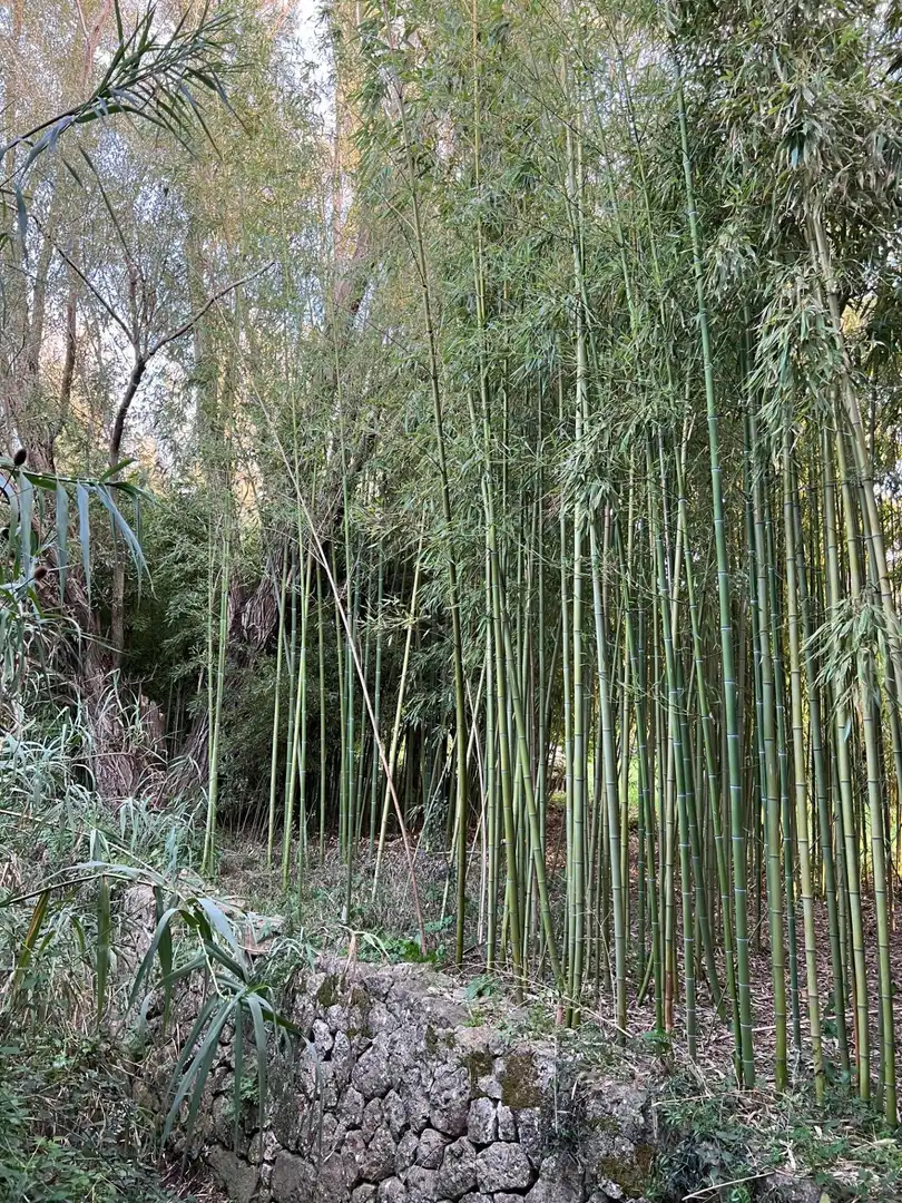Terreno residenziale in vendita a Camino Selva, imagen 29