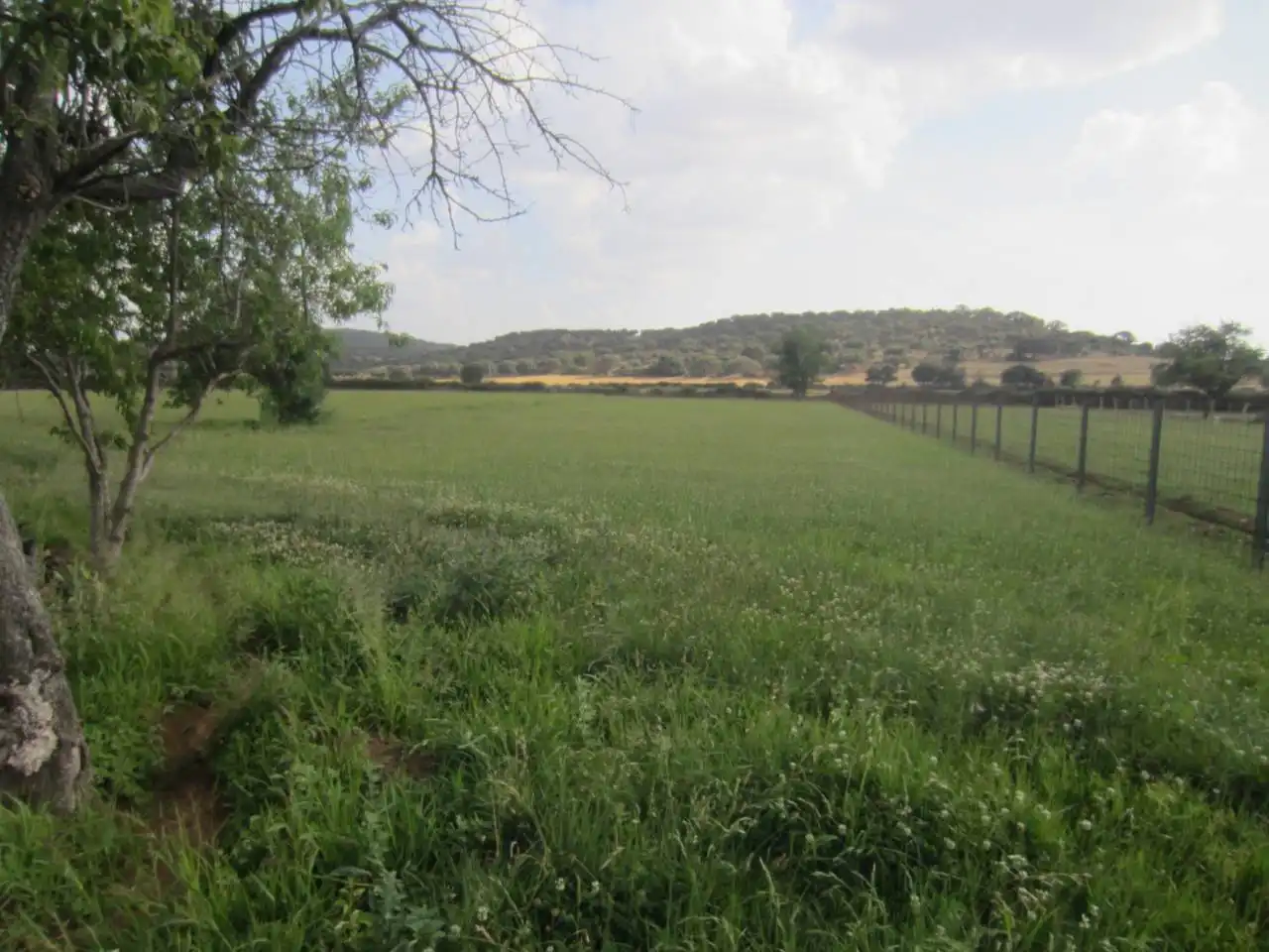 Terreno rustico in vendita a Calle RONDA DEL MEDIODIA, imagen 30