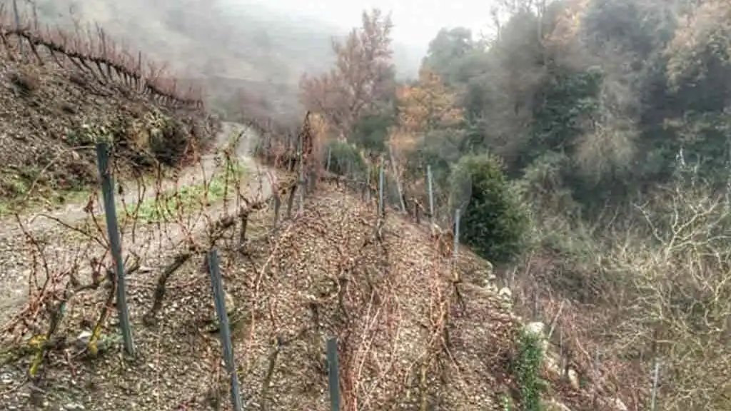 Vista exterior de Terreno en venta en Porrera