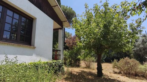 Imatge 4 de l'anunci