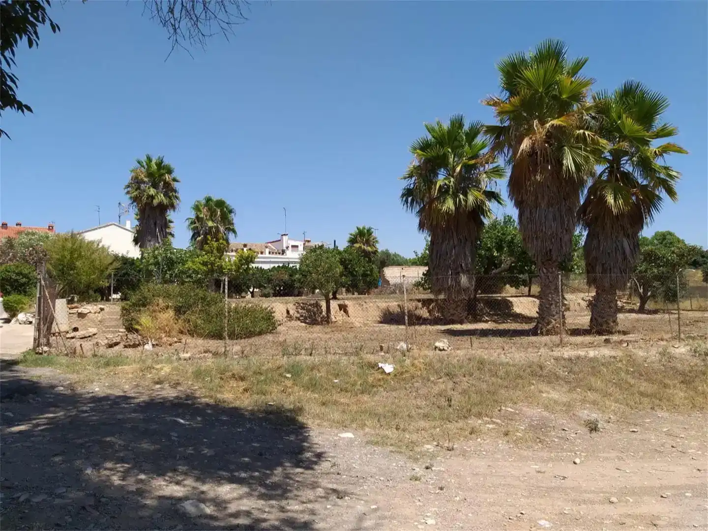 Land for sale in Valencia