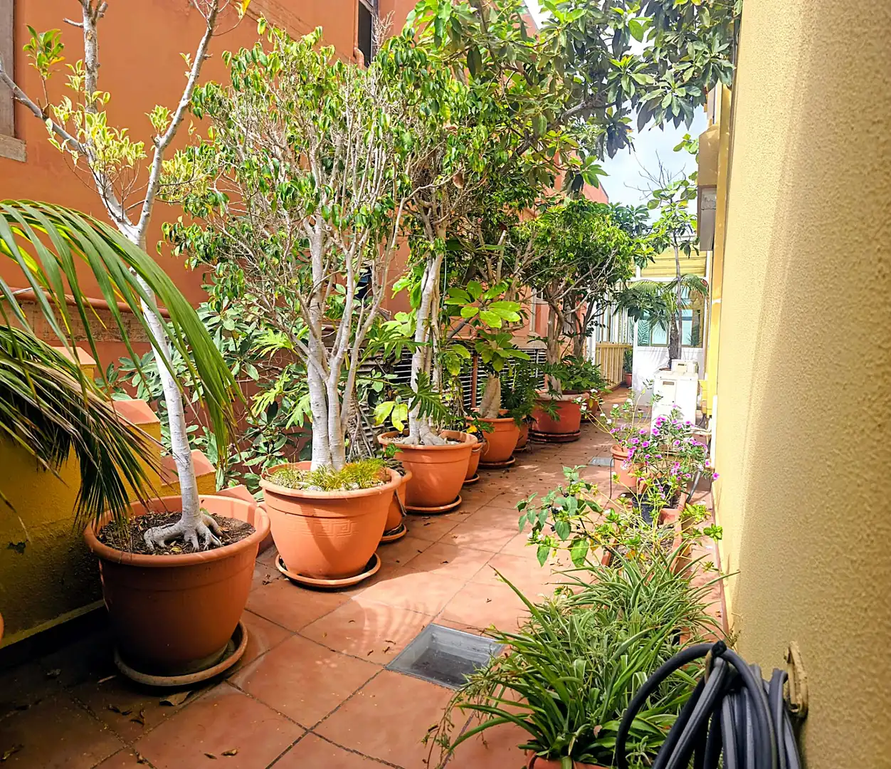 Villa mit Garten zum Verkauf in Calle Teniente C Castillo Olivares, imagen 60