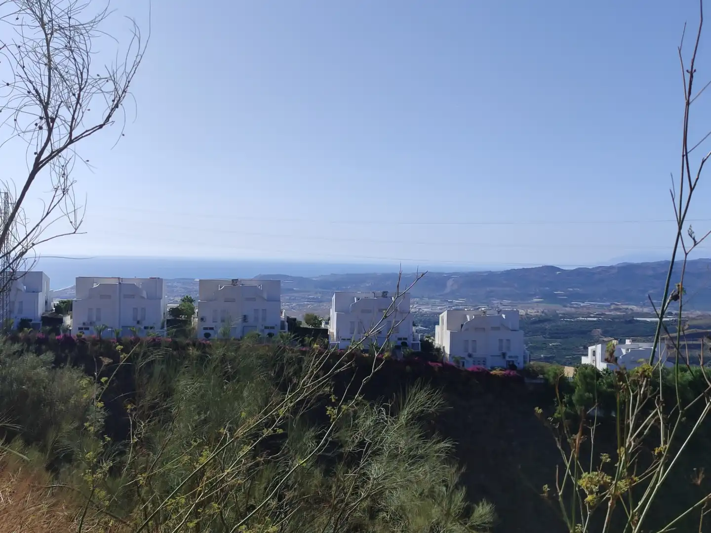 Vista exterior de Terreno en venta en Algarrobo