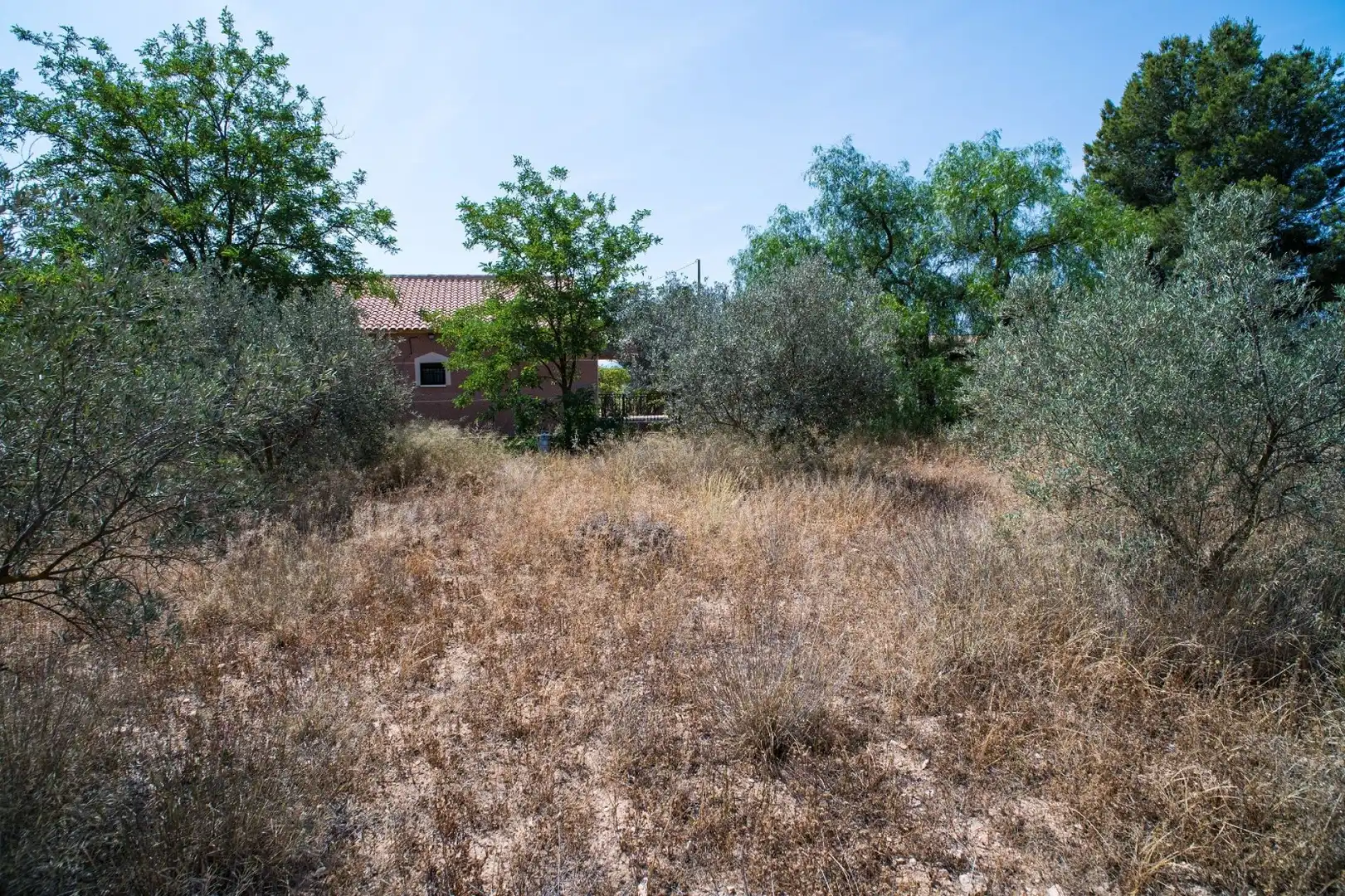 Landhaus zum Verkauf in El Pinós / Pinoso, imagen 50