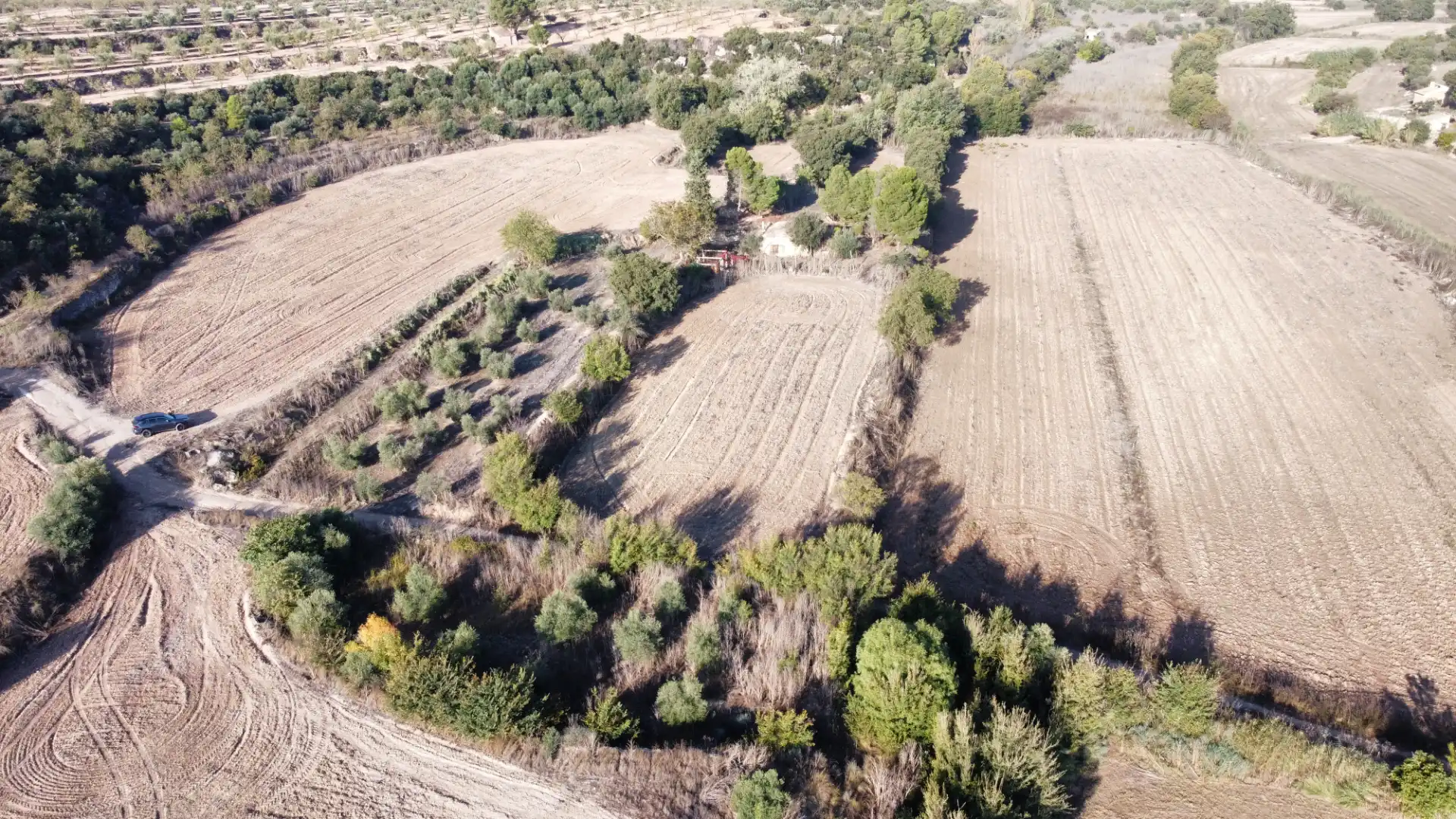 Rural land for sale in Arbeca, imagen 4