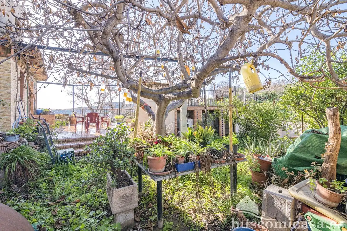 Jardín de Casa o chalet en venta en Molvízar con Jardín privado, Terraza y Trastero