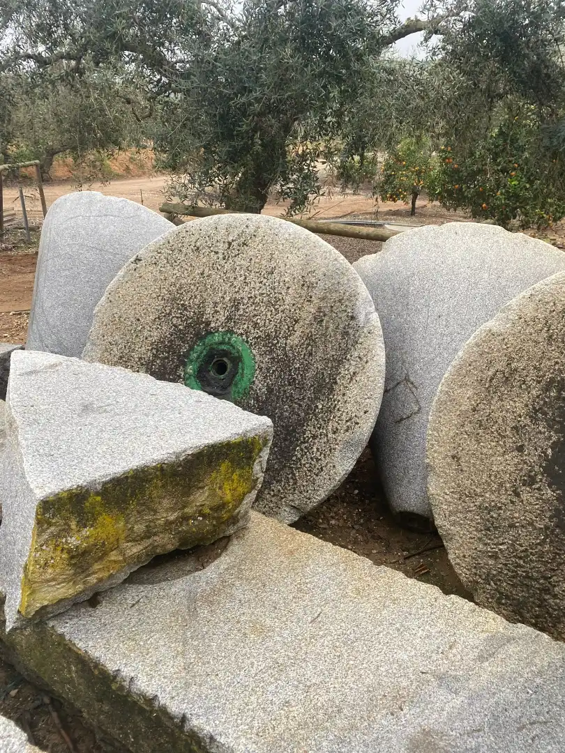 Terreni e lotti in vendita a Carretera Constantina, imagen 15