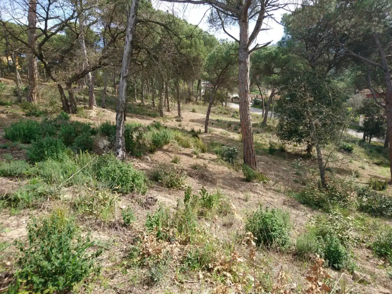 Terreny residencial en venda a Vilanova del Vallès, imagen 14