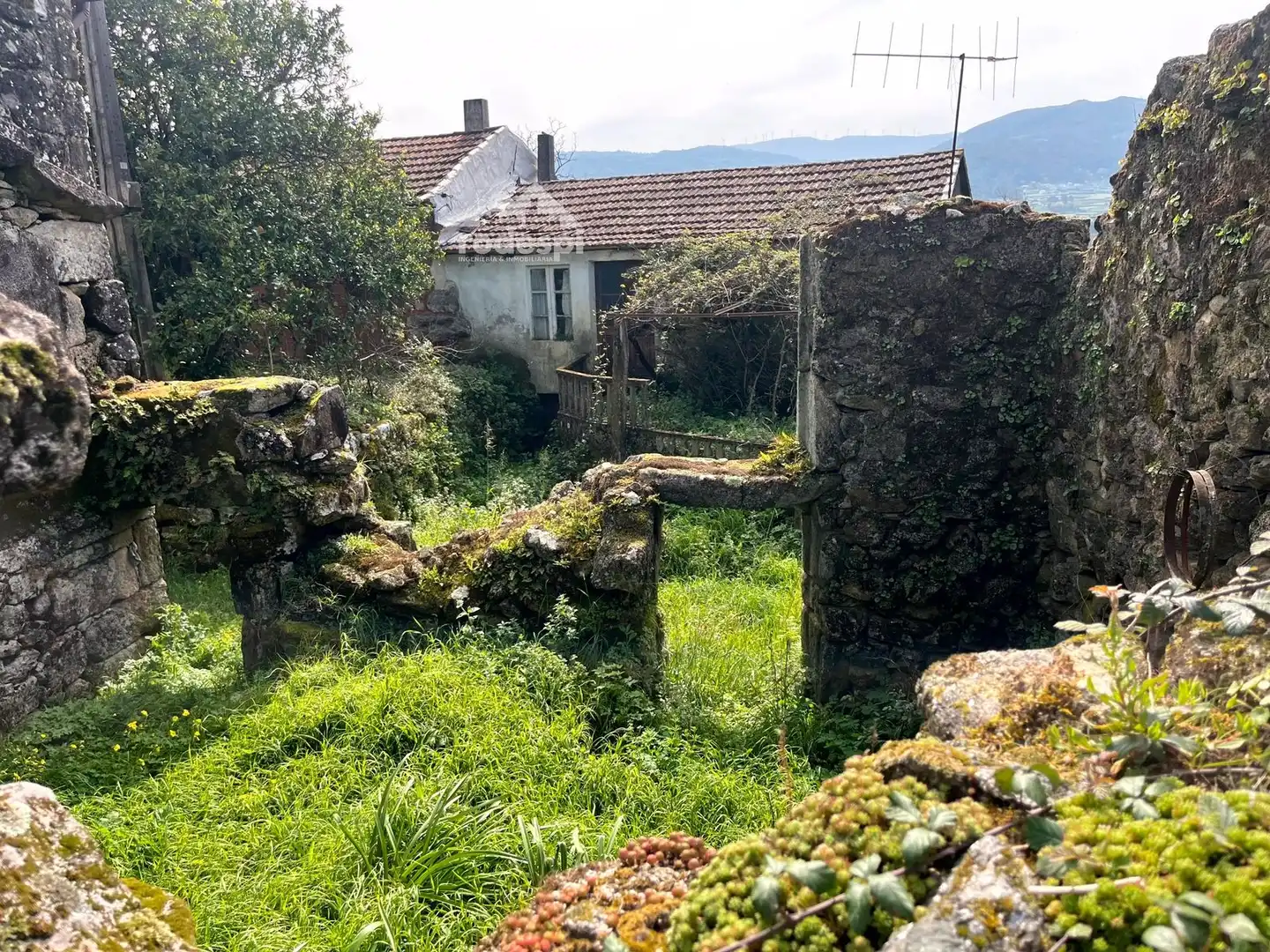 Casa o chalet en venta en Arbo
