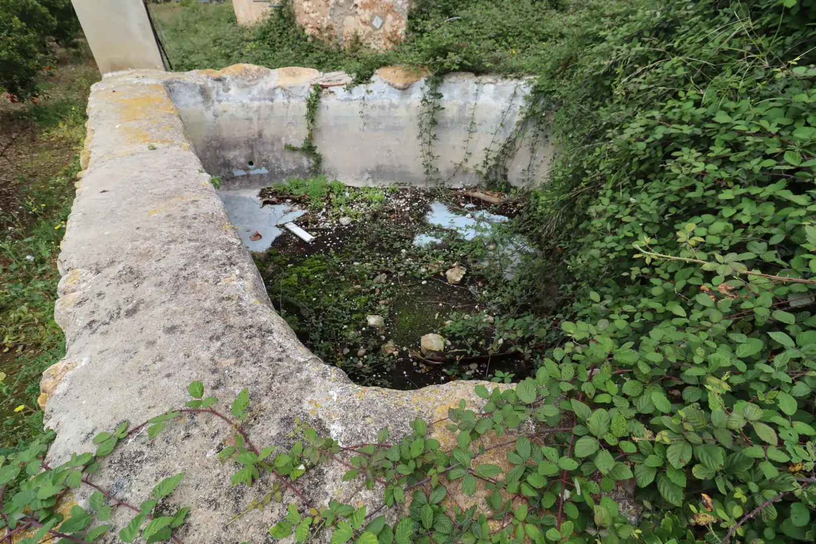 Terreno rústico en venta en Alcanar, imagen 9
