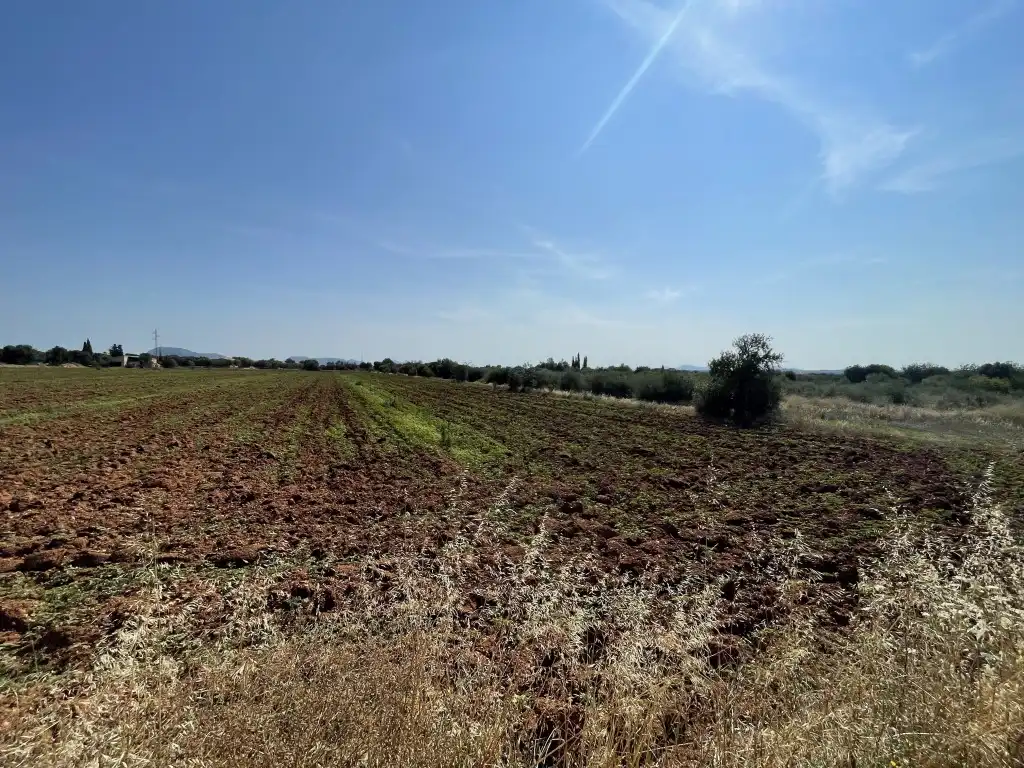 Terreny rústic en venda a Búger, imagen 7
