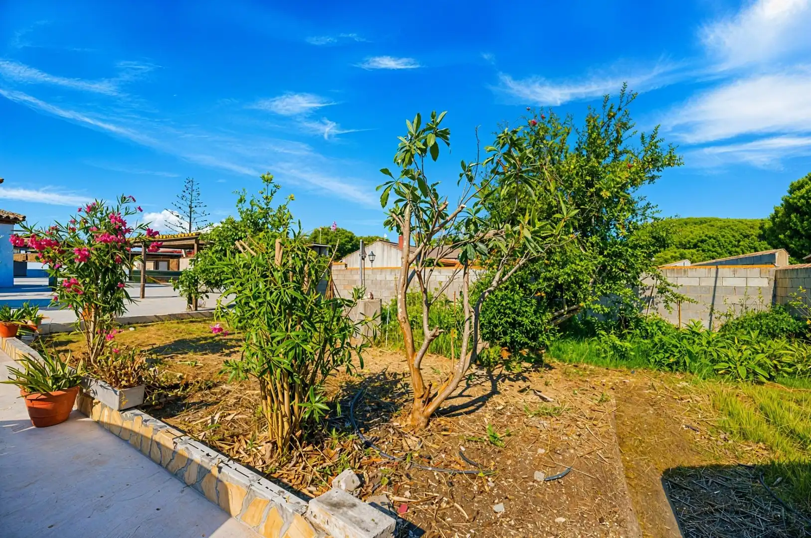 Xalet amb jardí en venda a La Barrosa, imagen 72