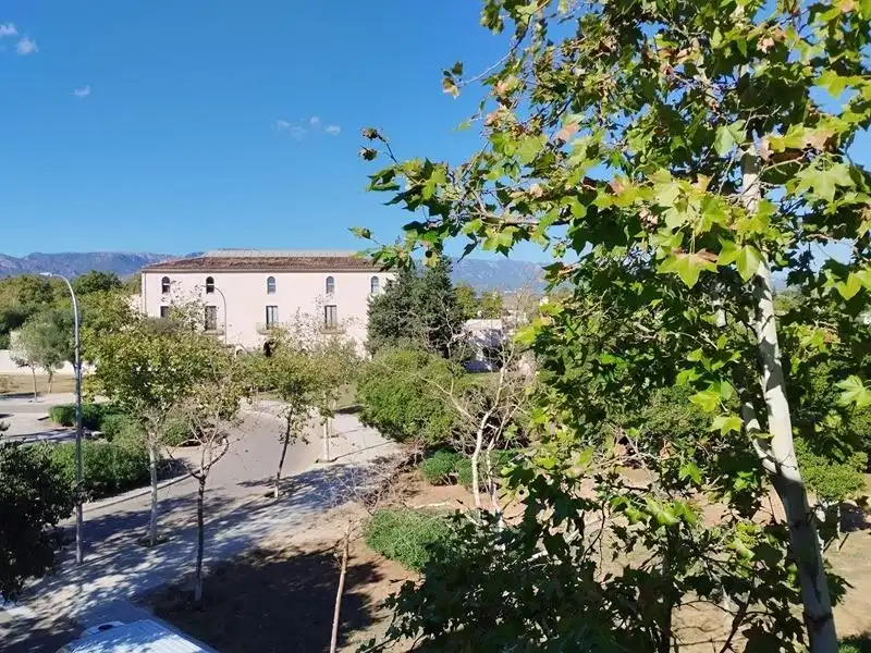 Vista exterior de Pis de lloguer en  Palma de Mallorca amb Aire condicionat, Calefacció i Parquet