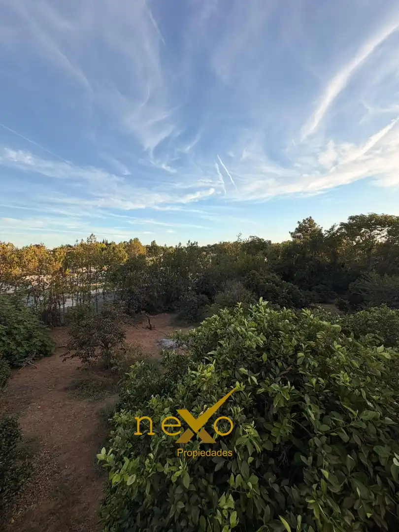 Chalet con piscina en venta en Carmona, imagen 46