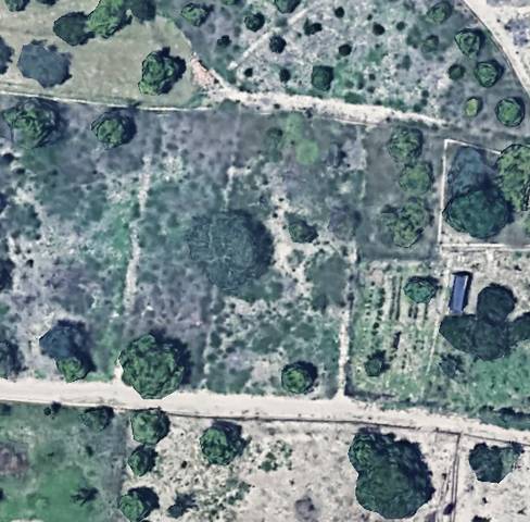 Terreno en Venta en Javalí Nuevo