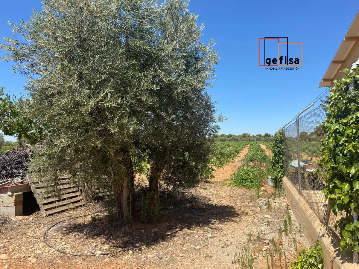 Casa rústica en venda a Valdepeñas, imagen 31