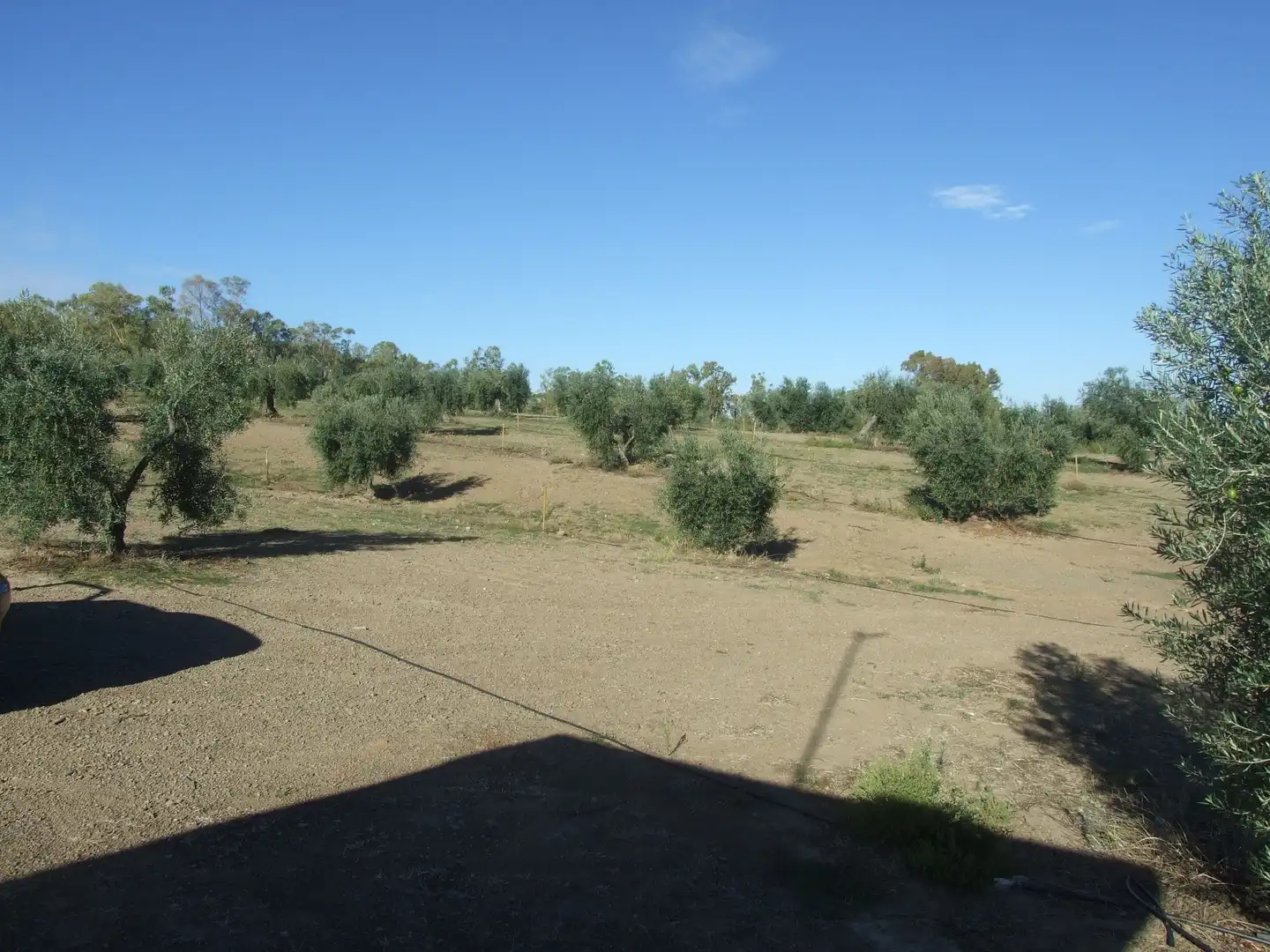Terreno en venta en Calzadilla de los Barros