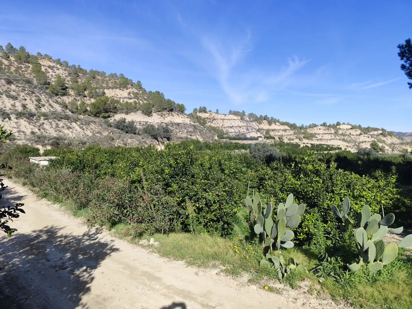 Terreny en venda en Murcia