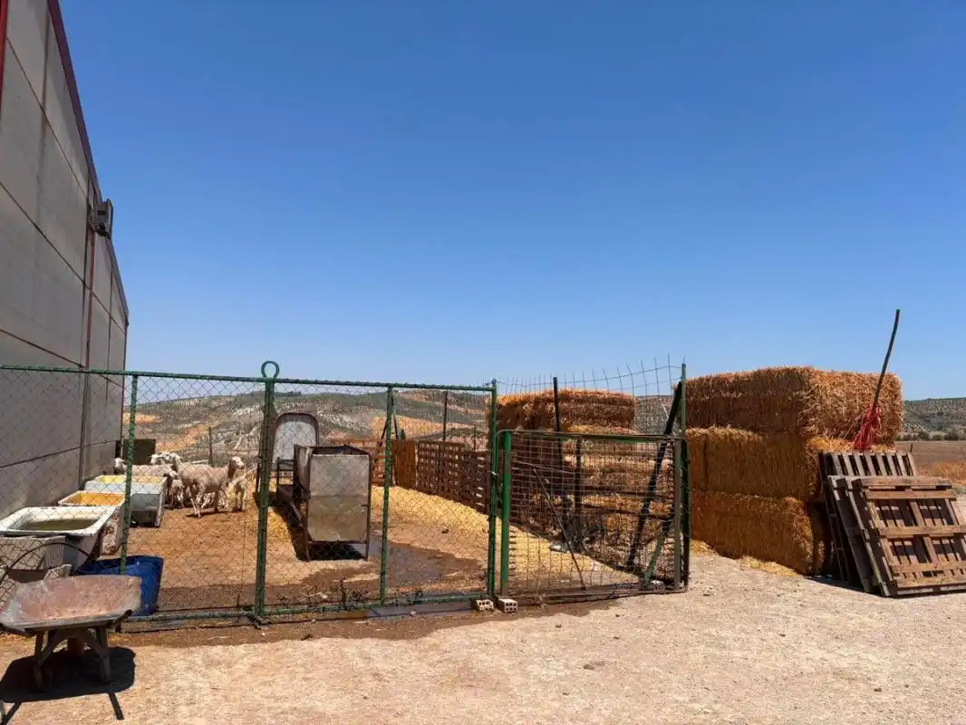 Vista exterior de Finca rústica en venda en El Saucejo amb Aire condicionat, Calefacció i Moblat