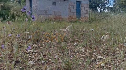 Photo 4 of Land for sale in Diseminado Poligono 9, Zona Periurbana, Illes Balears