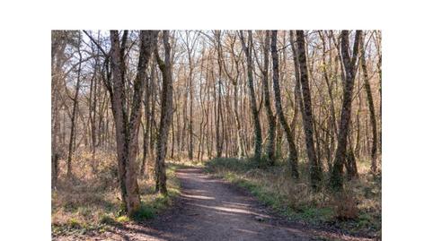 Foto 5 de Residencial en venda a Camino Camino Armentia, Mendizorrotza - Armentia, Vitoria - Gasteiz