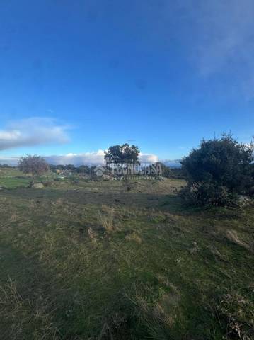 Terreno en Venta en Tres Olivos - La Piedad