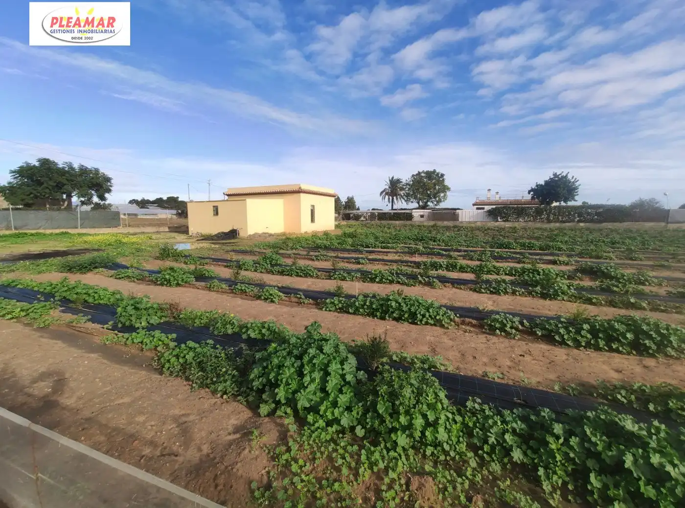 Residencial en venta en Chipiona Norte
