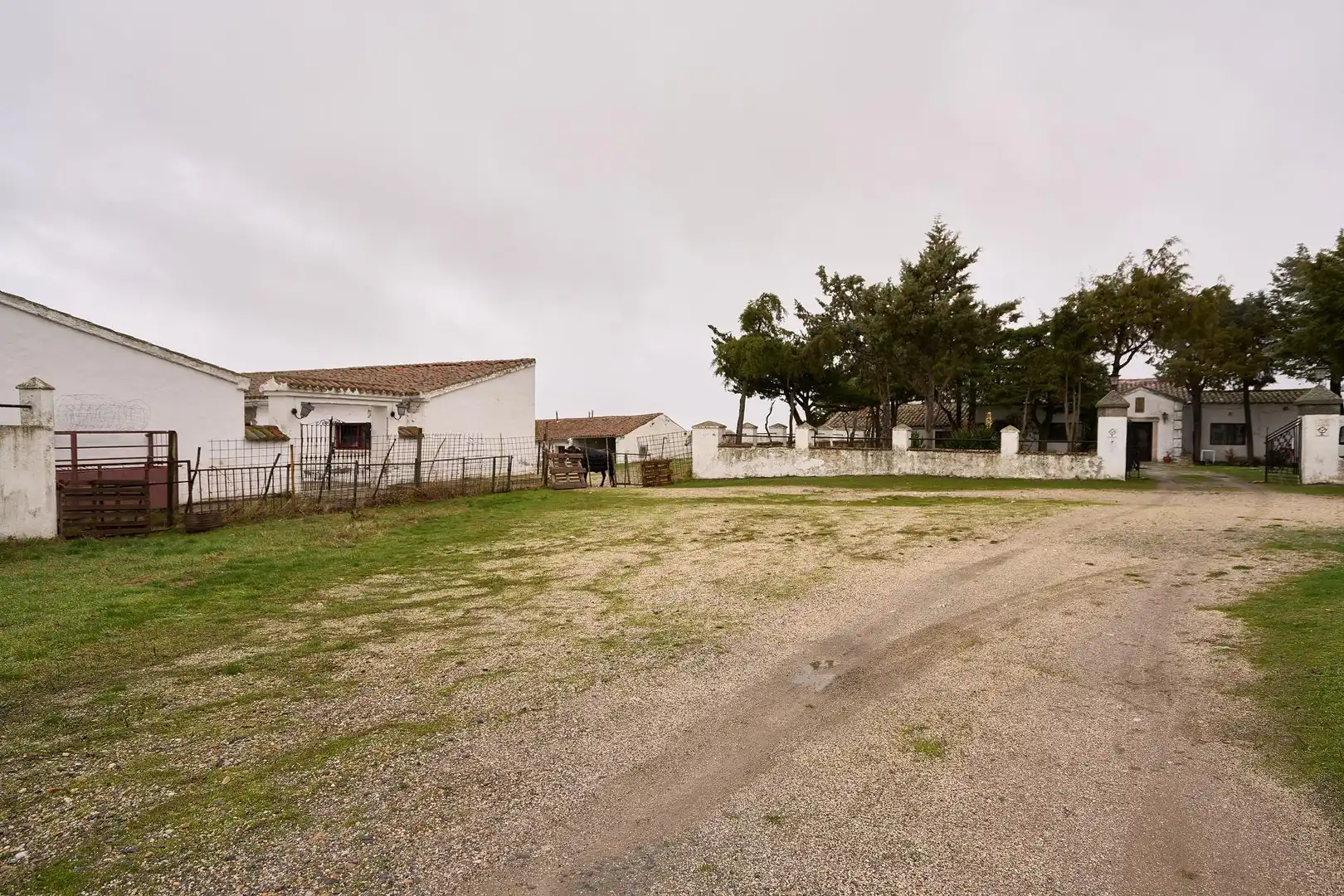Finca rústica en venta en Horcajo Medianero