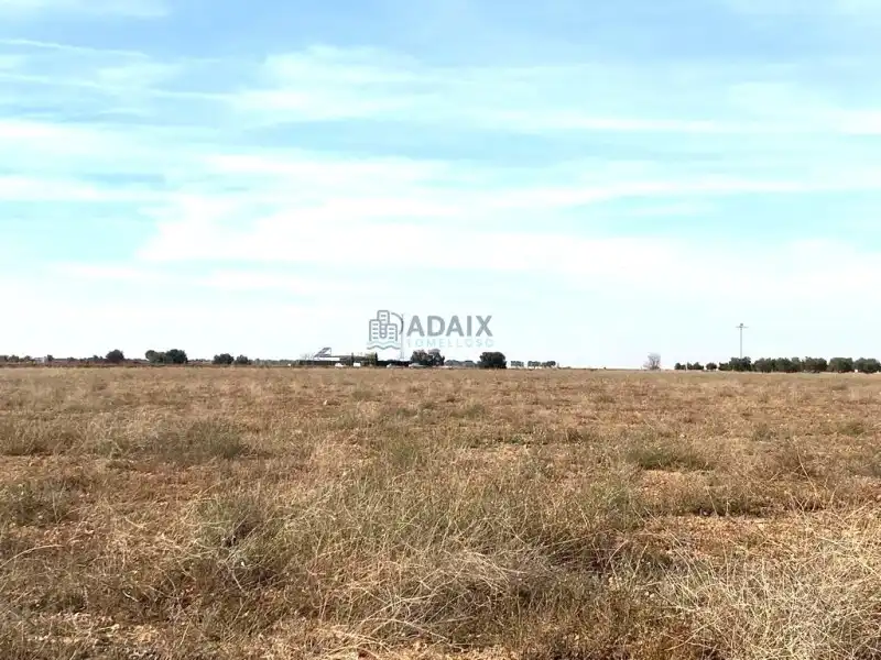 Terrenos y solares en venta en Socuéllamos, imagen 5
