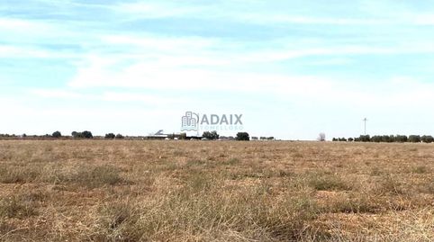 Terreno Urbanizable en Venta en  Socuéllamos, Ciudad Real, imatge 5