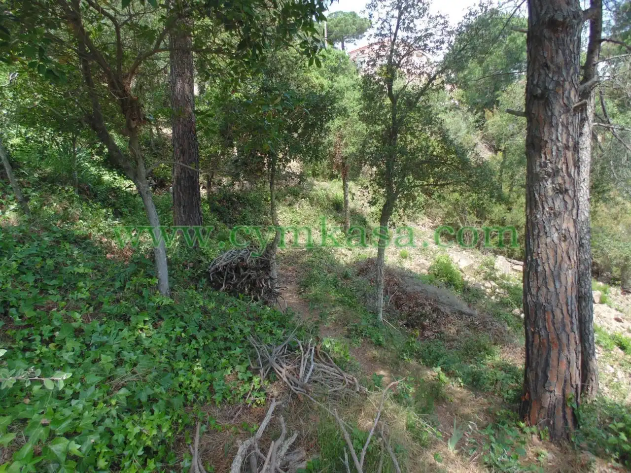 Rustikales Grundstück zum Verkauf in Serra Brava, imagen 4