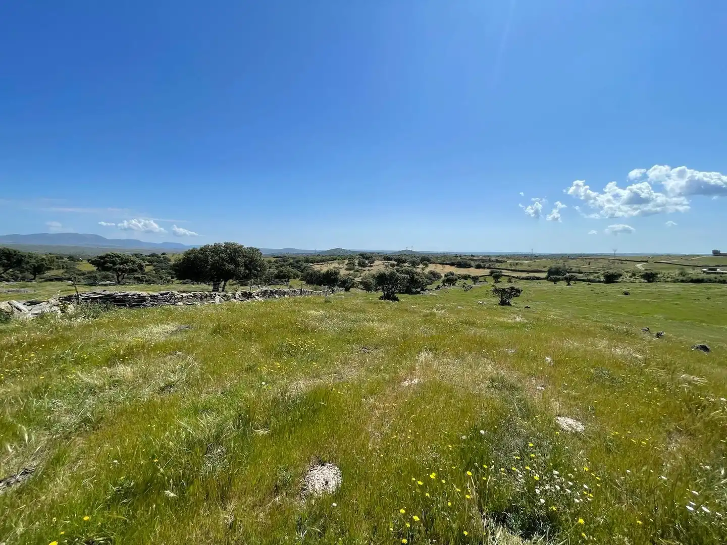 Terreni e lotti in vendita a Garrovillas de Alconétar, imagen 17