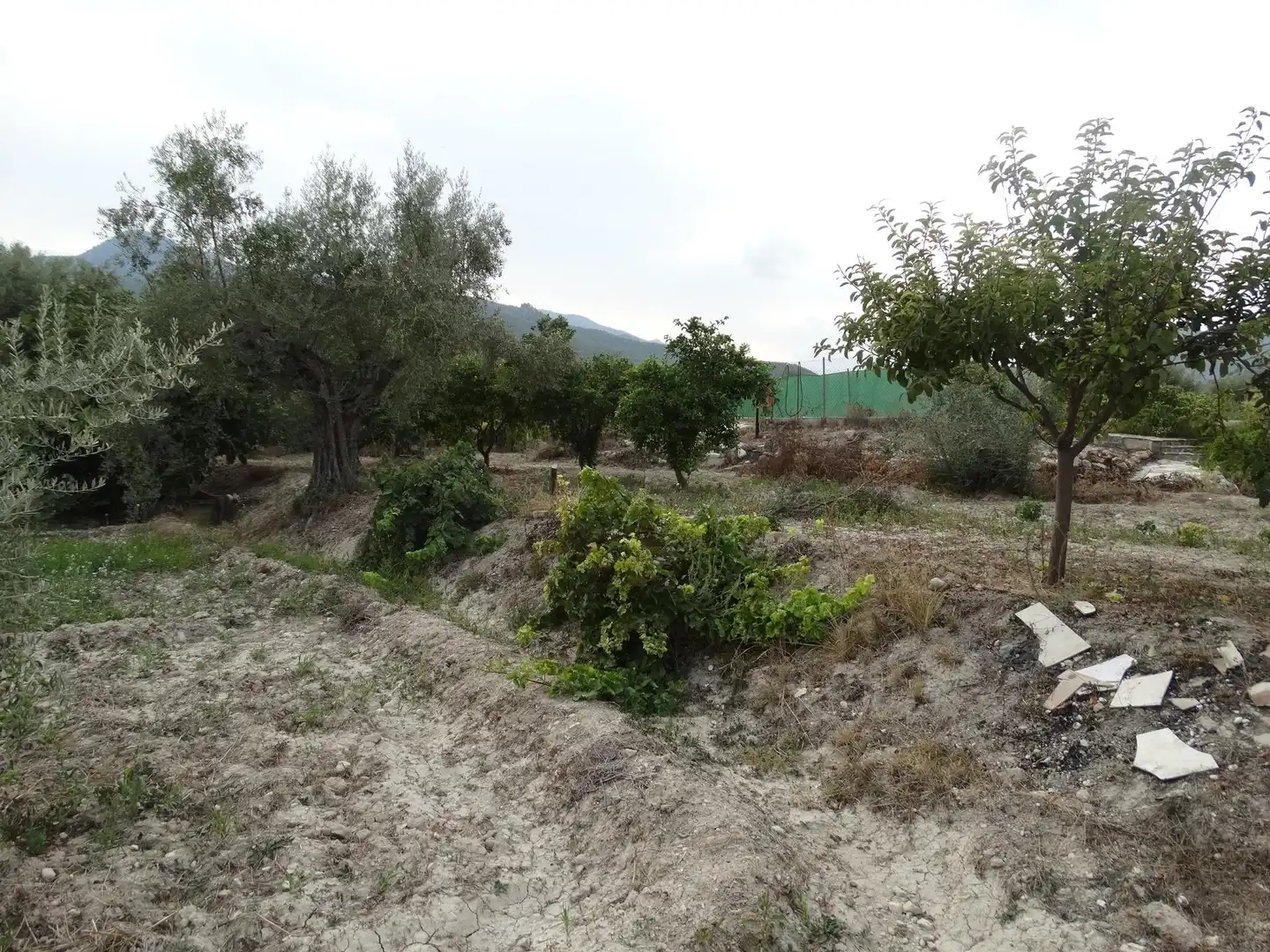 Villa avec piscine à vendre à Moratalla, imagen 36