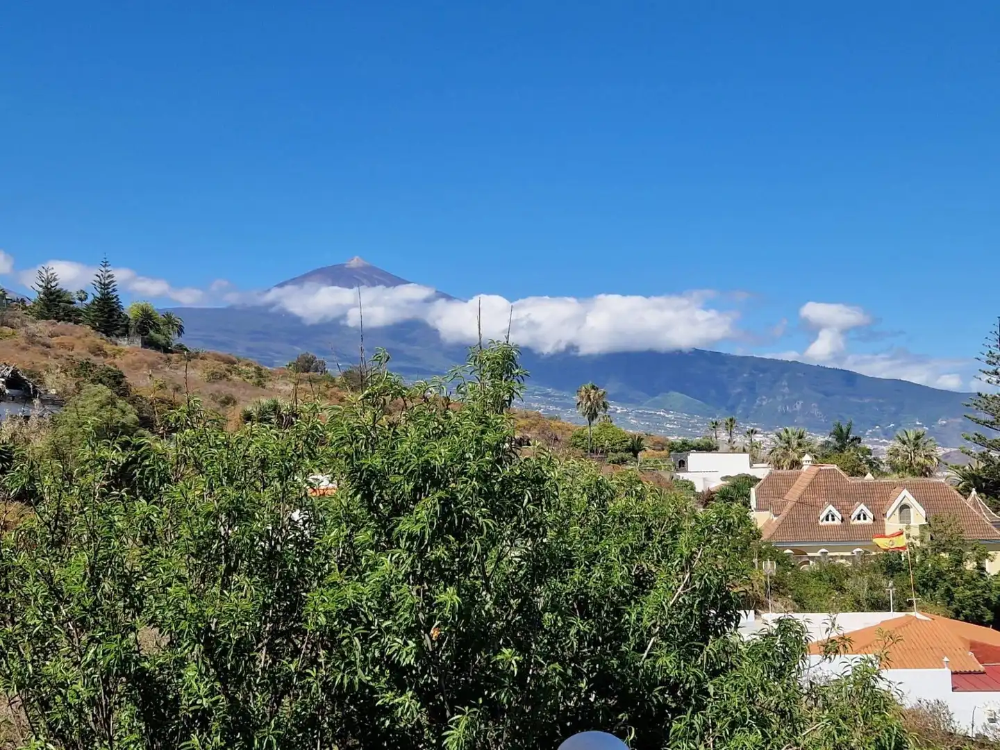 Vista exterior de Casa o chalet en venta en Santa Úrsula con Jardín privado, Terraza y Trastero