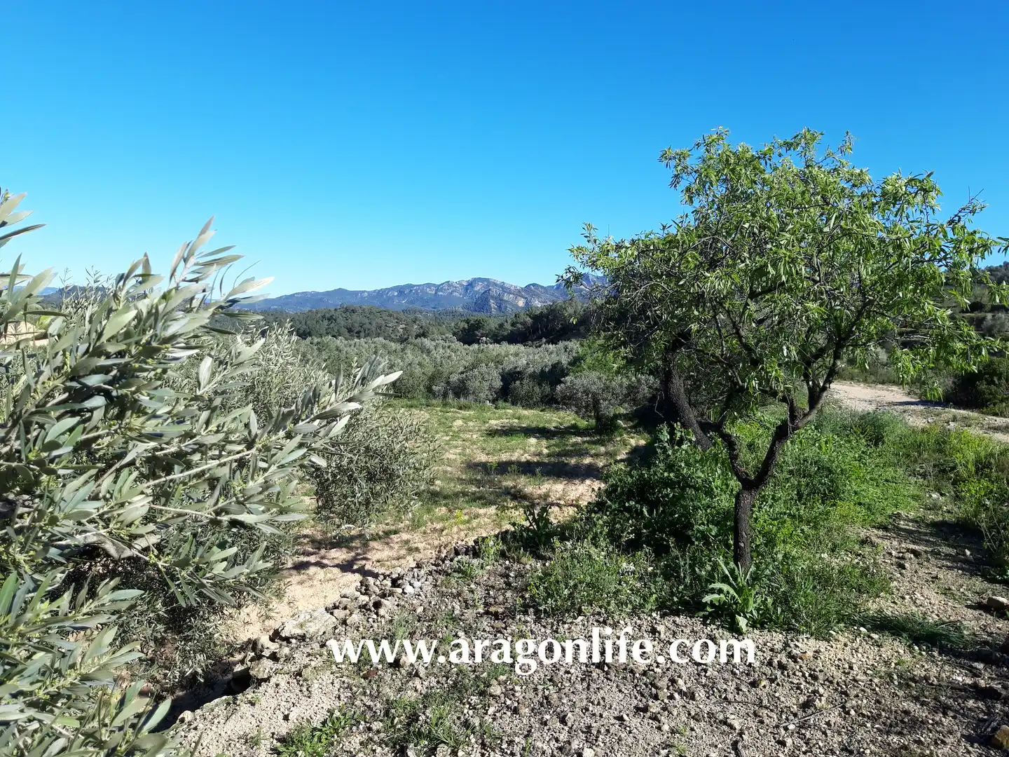 Rural land for sale in C-43, imagen 14