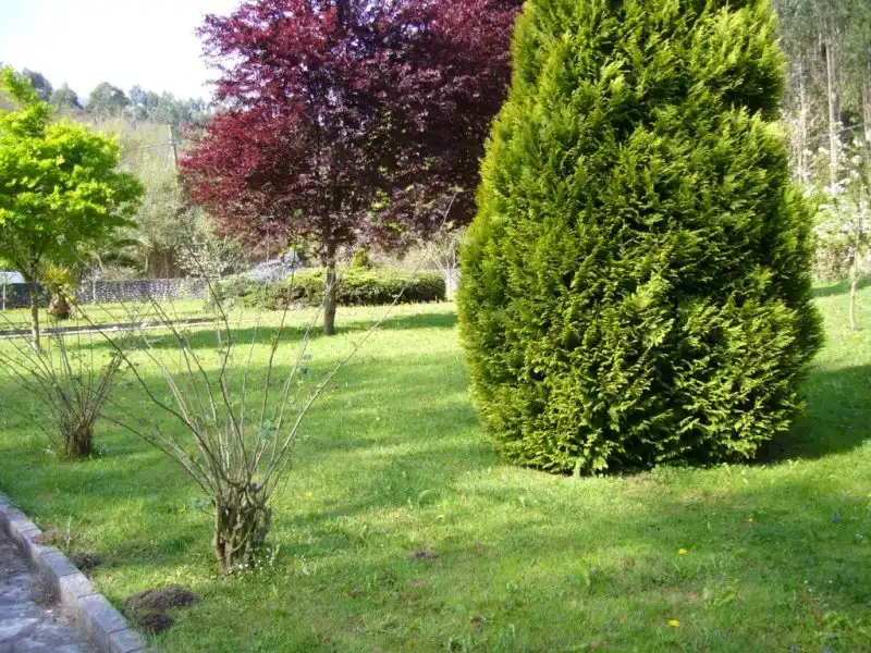 House with terrace for sale in Pría - Nueva-Hontoria - Naves, imagen 30