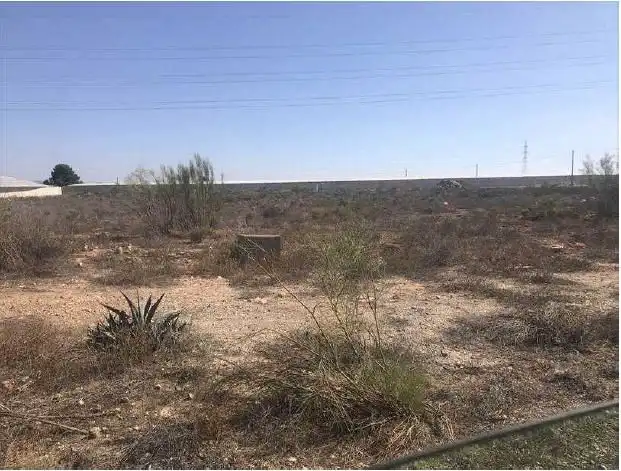 Terreny rústic en venda a Lucainena de las Torres