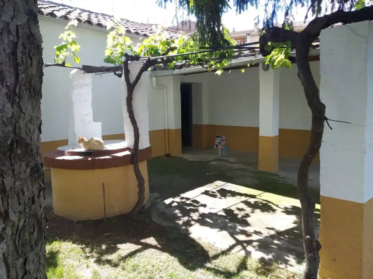 Jardín de Casa o chalet en venta en Monzón con Jardín privado, Terraza y Amueblado